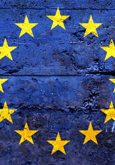 Safeguarding European democracy The EU flag