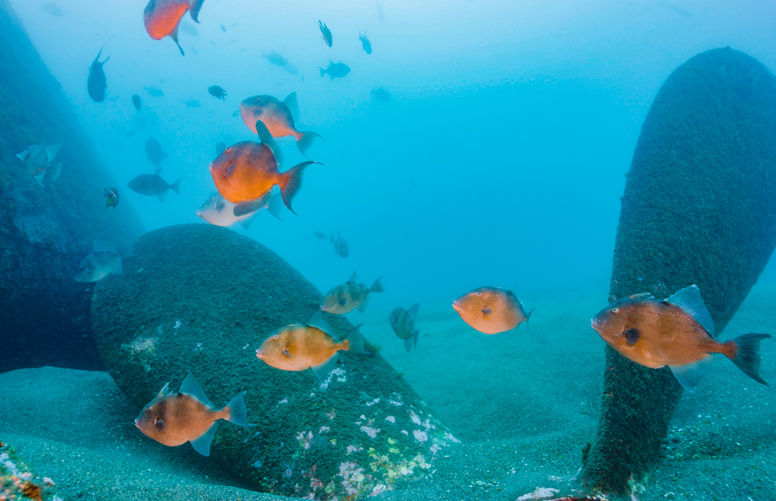 Underwater Cultural Heritage of the Azores, Portugal © European Commission