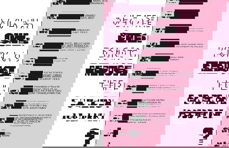 Graph showing what SMEs are doing to reduce their carbon footprint, Instagram visual © EIF