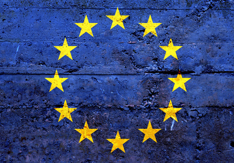Safeguarding European democracy The EU flag