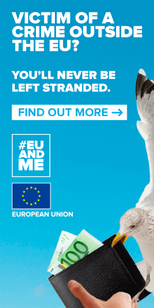 Seagull stealing wallet