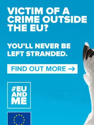 Seagull stealing wallet